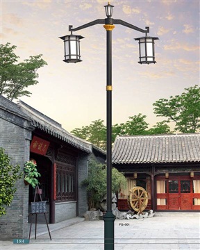 FGD-001